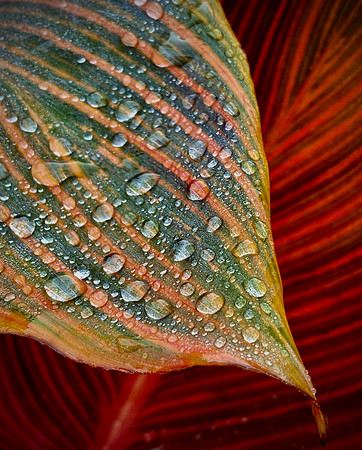IMG_8204