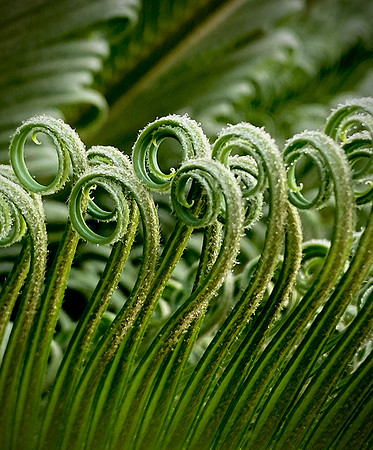 IMG_3956