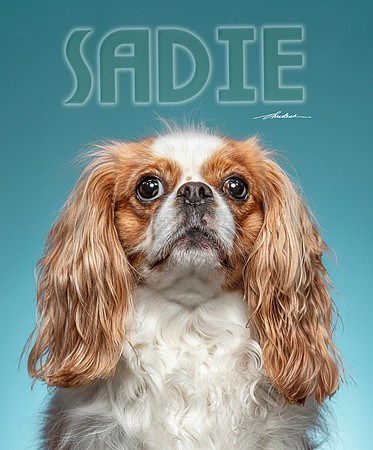 CDR_05072021_0555-Sadie_MAG