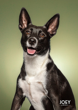 CDR_05072021_0114-Joey