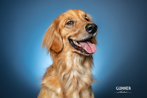 CDR_04132021_0112_Pawdography_test_Gunner