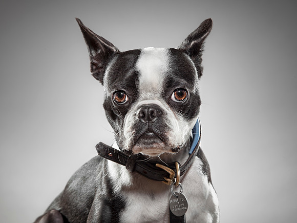 CDR_03142013_0142 Abner