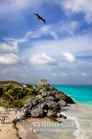 _MG_0206 tulum pelican by christian del rosario