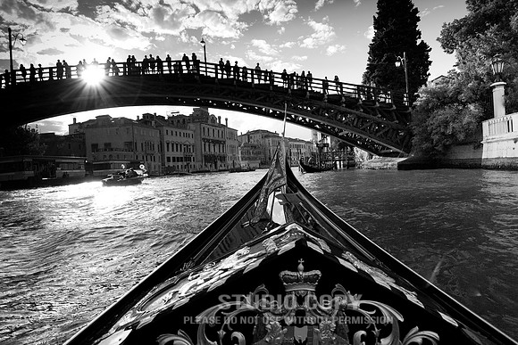 _MG_0309 wood bridge