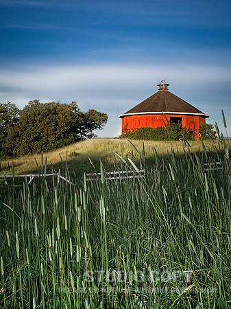 _MG_0664-2 sonoma red barn