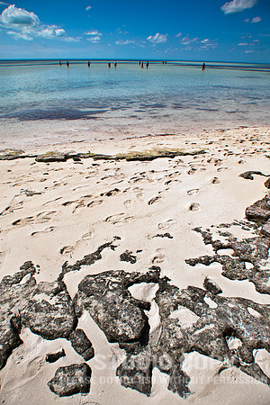 _MG_0751 coco cay sand