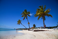 Caribbean -Others