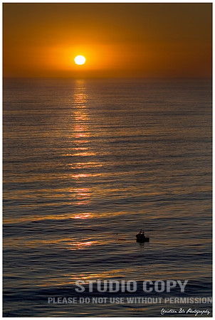 _MG_4067 nn web_