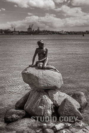 _MG_6546 little mermaid