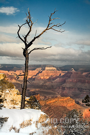 _MG_6846 grand canyon by christian del rosario