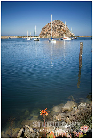 _MG_7263-2 nn web_
