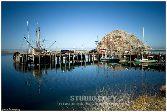 _MG_7276 nn web_