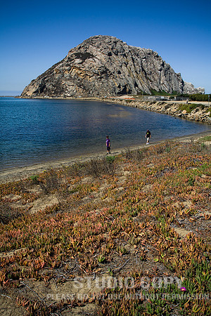 _MG_7324 morro bay by christian del rosario