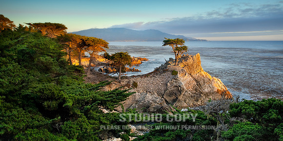 _MG_8012 lone cypress pano by christian del rosario