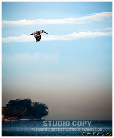 IMG_4226 nn zen