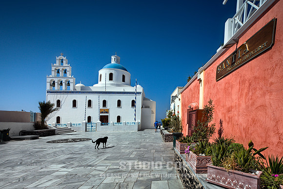 _MG_6850 angry dog santorini by christian del rosario