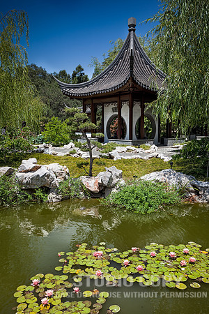 CDR_0606_2012_0202 Chinese Garden