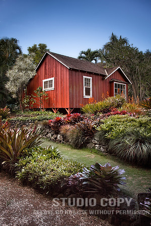 CDR_0721_2012_0451 Red House Allerton Gardens