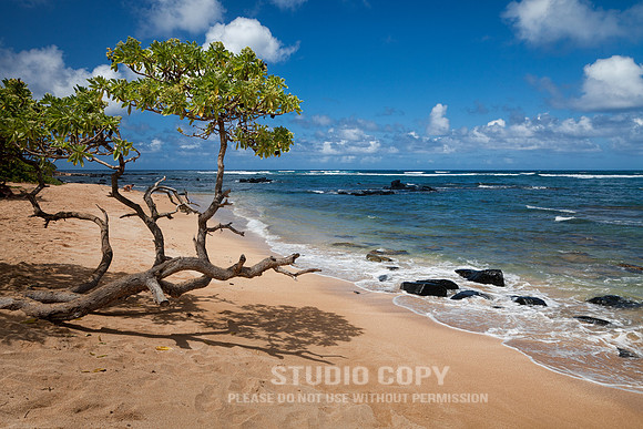 CDR_0723_2012_0335_Kauai_Anahola Beach