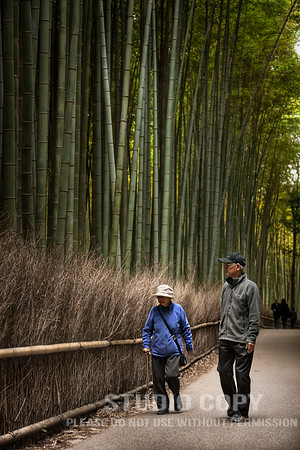 CDR_1110_2011_0754 Bamboo Forest v2