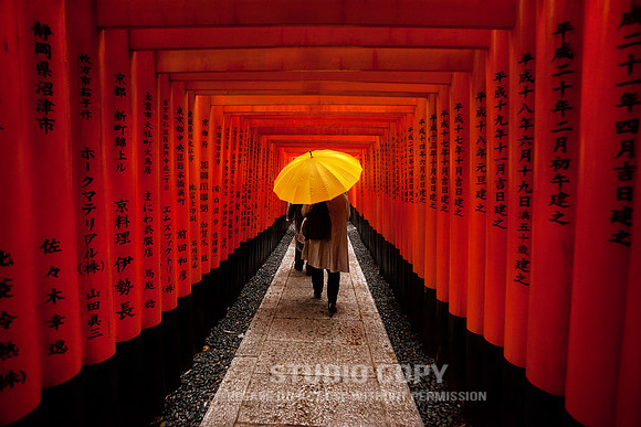 CDR_1111_2011_0307 yellow umbrella
