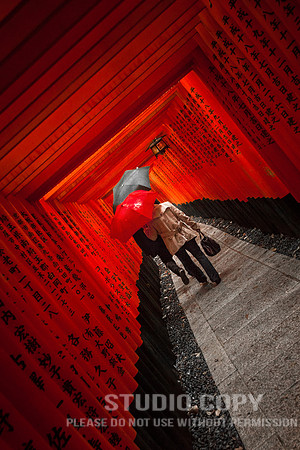 CDR_1111_2011_0442 red  black