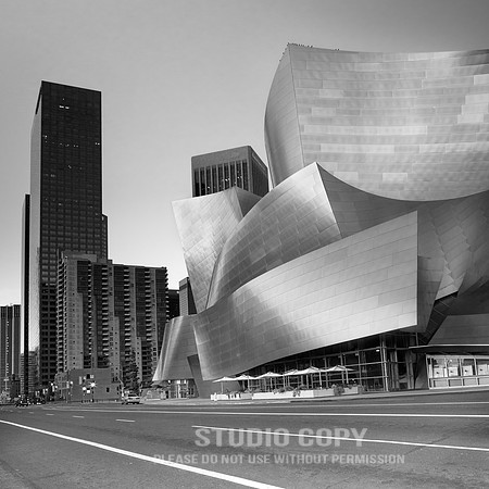 CDR_012211__0011 Disney Concert Hall by christian del rosario