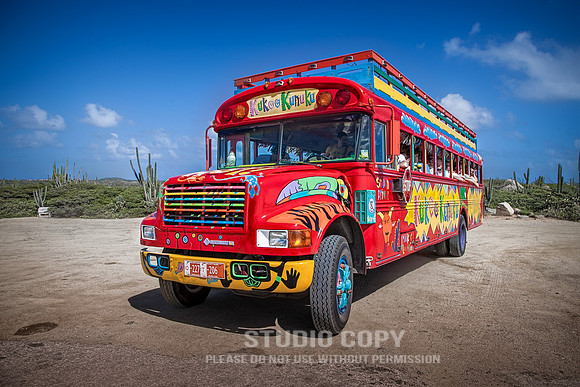 CDR_02132013_0066 Kukoo Kunuku Bus