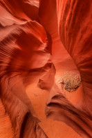 Shades of Orange