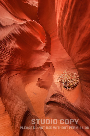 CDR_02252014_1448 Antelope Canyon