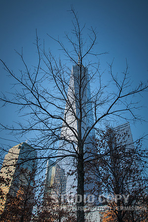 CDR_02282015_0143 Freedom Tower