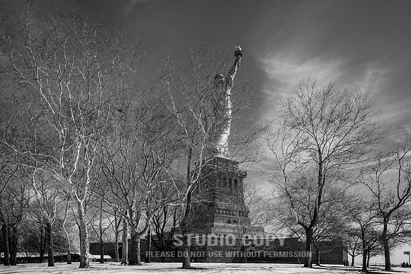 CDR_02282015_0435_liberty