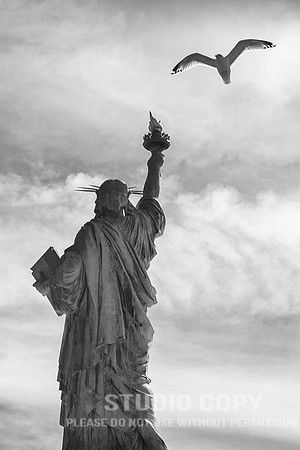 CDR_02282015_0554_liberty