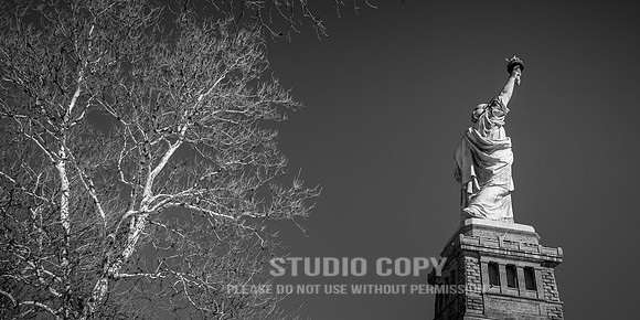 CDR_02282015_0818_liberty