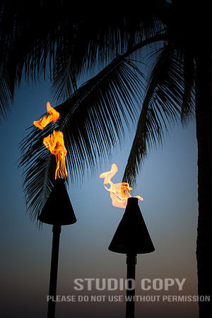 CDR_04062013_1124 tiki Lights