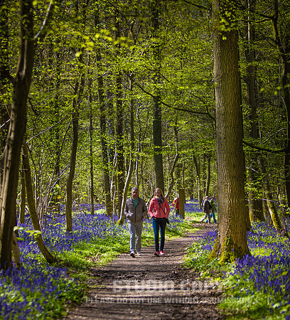 CDR_04202016_0355_hallerbos