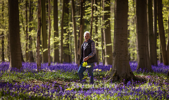 CDR_04202016_0402_hallerbos