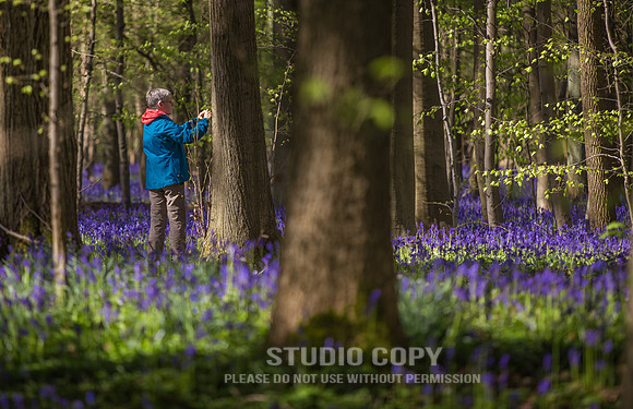 CDR_04202016_0953_hallerbos