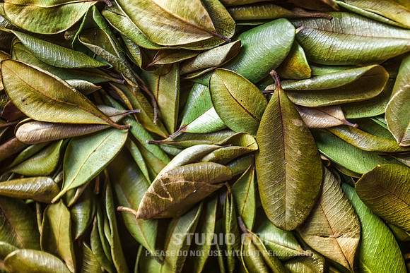 CDR_04282014_0010_Victoria Market