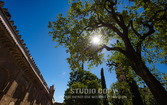 CDR_06142016_2190_Cordoba