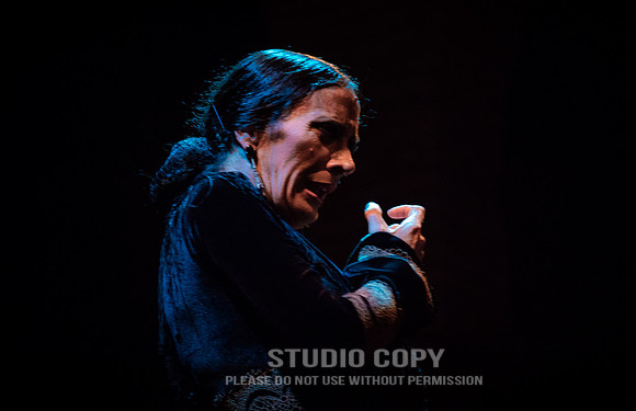 CDR_06152016_1348_flamenco