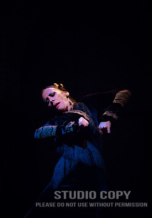 CDR_06152016_1381_flamenco