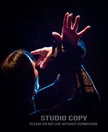 CDR_06152016_1448_flamenco