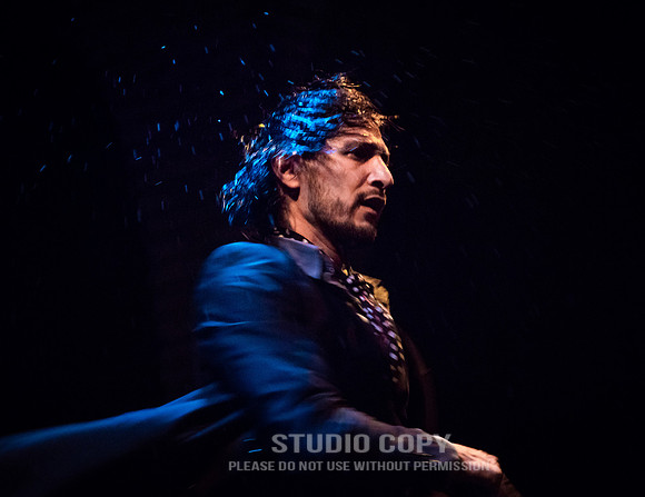 CDR_06152016_1717_flamenco