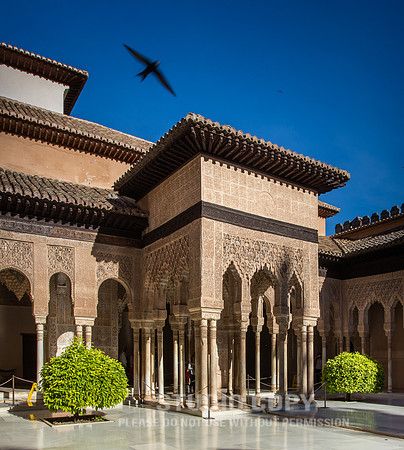 CDR_06202016_4829_Alhambra