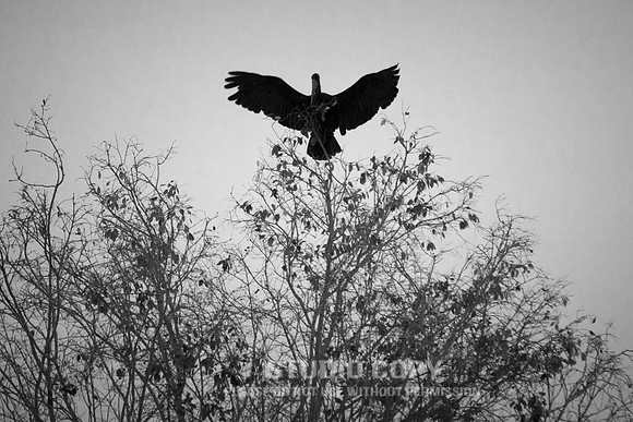 CDR_08302013_0920