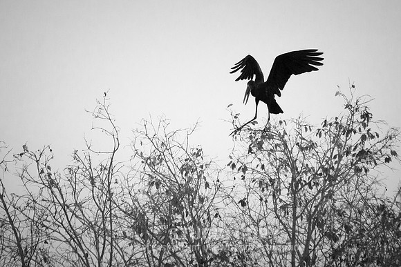 CDR_08302013_0924