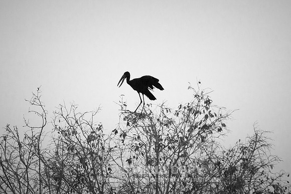 CDR_08302013_0929