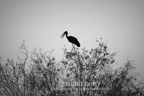 CDR_08302013_0930