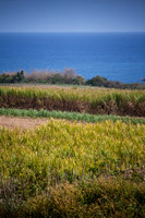 Reunion Island